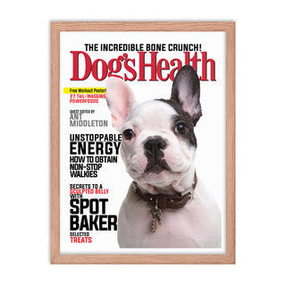 Dog's Health - Framed Poster